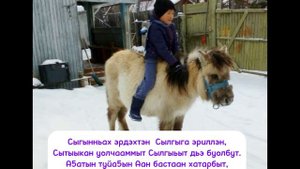 1 место во 2 зоне в конкурсе "Семейное подворье: трудовое воспитание молодежи"