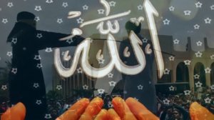 Как Раб Аллаха должен воспринимать предопределение ?