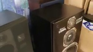 Акустика Coral DX-THREE/ll