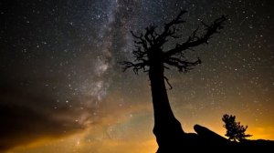 Наталья Фатеева  Улетай на крыльях ветра  Князь Игорь