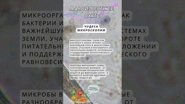 Микромир Невидимых Героев