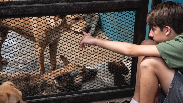 Adri + Dogs: A Love Story - final edit смотреть онлайн