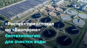 «Ростех» представил на «Биопроме» биотехнологию для очистки воды