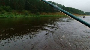 Рыбалка на выезде Fly Fishing ru. Верхняя Волга 2024