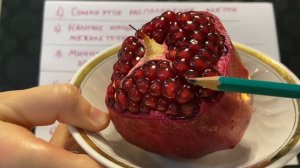 Гистология  | Эпителиальные ткани