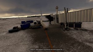 Microsoft Flight Simulator-B737