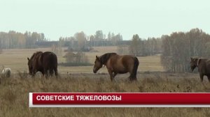 СОВЕТСКИЕ ТЯЖЕЛОВОЗЫ