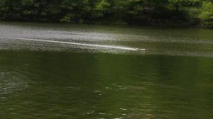 "АКВА ТЕХНО ШОУ 2023". 3-й Межрегиональный Фестиваль судомодельного спорта. Владивосток, 27 мая 2023