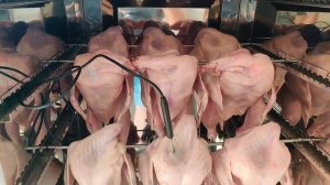 Термодымовая камера (обзор). Коптим курицу по-взрослому