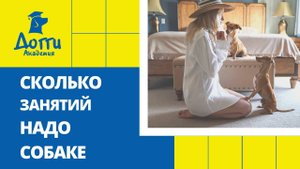 Сколько занятий по дрессировке надо собаке