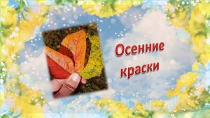 Осенние краски во фруктовом саду