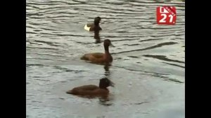 Водно-болотные угодья заповедника «Пасвика» могут стать объектами всемирного природного наследия