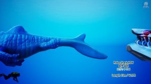 Hungry Shark Sea Monsters Size Comparison (feat. Shark Size)