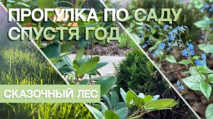 СКАЗОЧНЫЙ ЛЕС _ Обзор сада спустя год