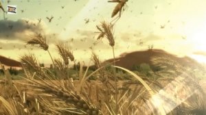 Пророк Муса (мир ему) 8 серия. Наказание народа Фараона