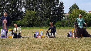 30.06.2024, СПб. Клуб "ЗООЛЮКС" (РКФ, РФЛС). Выставка собак всех пород "ЛЕТНИЙ ПРАЗДНИК ЗООЛЮКС-ШОУ"