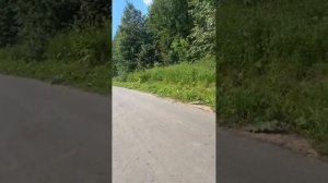 Милаша и ПАПАША фотосессия с олененком