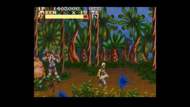 The Pirates of Dark Water