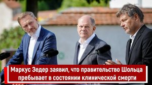 Маркус Зедер заявил, что правительство Шольца пребывает в состоянии клинической смерти