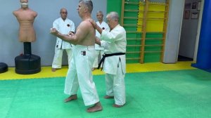 Морио Хигаонна Сэнсей (10 дан, Окинава) Богдан Курилко (7 дан). Санчин симэ
