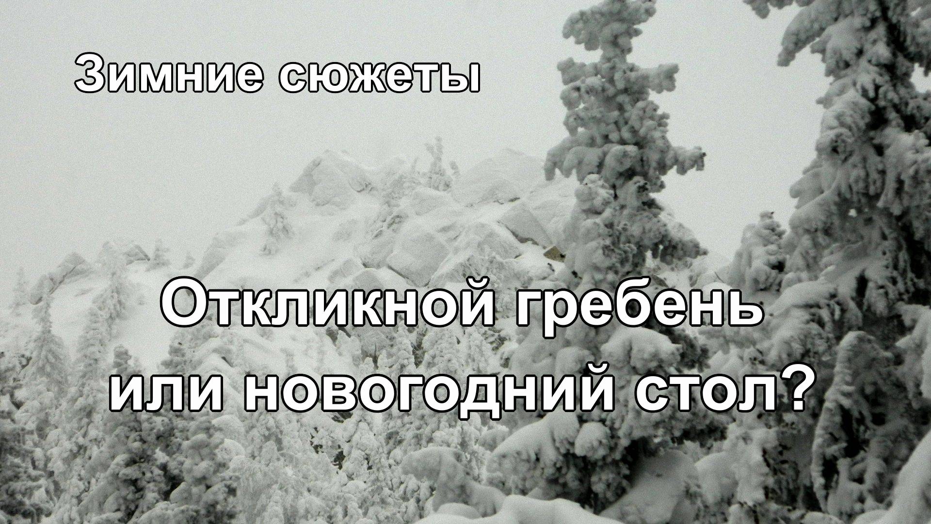 Откликной гребень или новогодний стол?