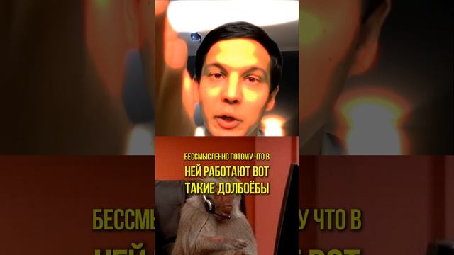 Как удалить негативный отзыв на Авито в 2024 году смотреть онлайн