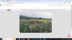 Любой цвет фона для галереи | Тильда