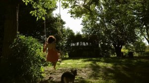 5122541-hd_1920_1080_24fps