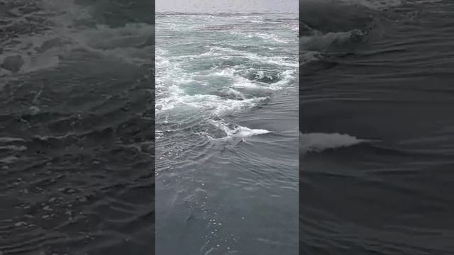 the power of CPP Propeller #crash astern and ahead test