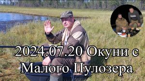 2024.07.20 Окуни с Малого Пулозера. Мурманская область.