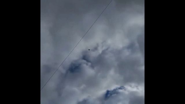 ГОЛУБИ АТЫРАУ 2022НОМЕР87012184683