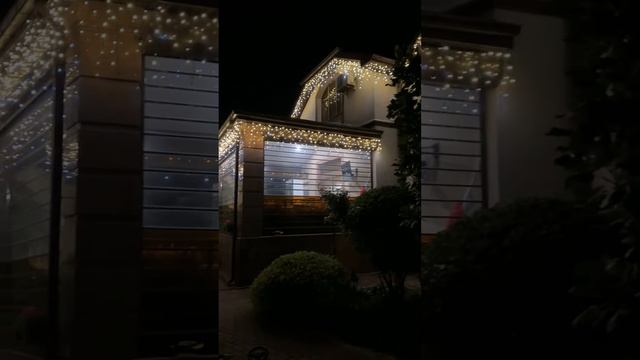 ЧД Поле Чудес  Viki Decor Световое оформление и декор