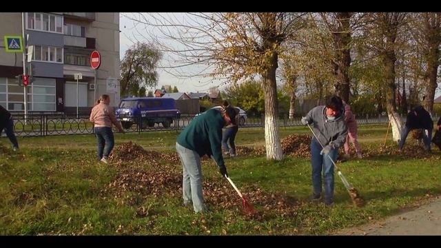 Осень в городе: экологическая акция и уборка листвы