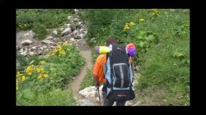 Скучаю по запаху листьев