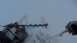 Ловля окуня на пруду. Балансир и блесны. Зимняя рыбалка. Опять откапываю машину.