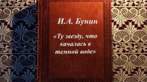 «Ту звезду, что качалась в темной воде». Нестеров Артем 8"Г" класс,  МБОУ «Лицей № 5 г.Ельца»