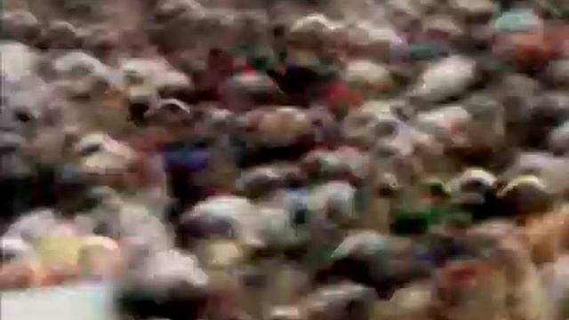 Limp Bizkit - Live in Зеленый Театр 29.05.2009 смотреть онлайн