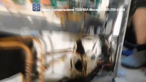 Ремонт Холодильника TOSHIBA GR D50FR Москва  Часть1