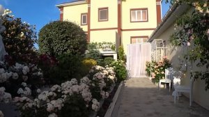 Вечерние встречи. Сад во французском стиле под Анапой