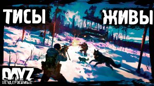 ЖИВЫЕ ТИСЫ - DayZ НЕУДЕРЖИМЫЕ (15 серия, осень 2024, патч 1.25)