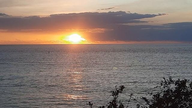 20241008_175115.mp4