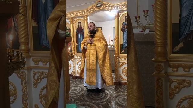 Проповедь в день памяти прп Серафима Саровского смотреть онлайн