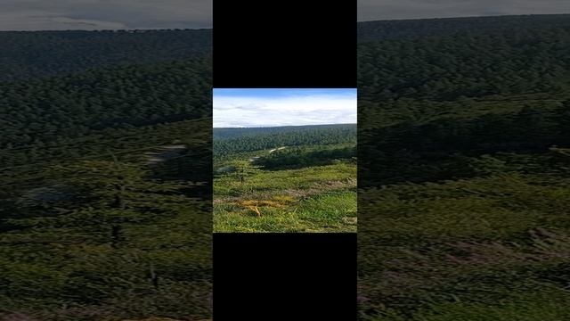 Самодельное изобретение - смотреть короткие видео (Shorts) от Юный Изобретатель