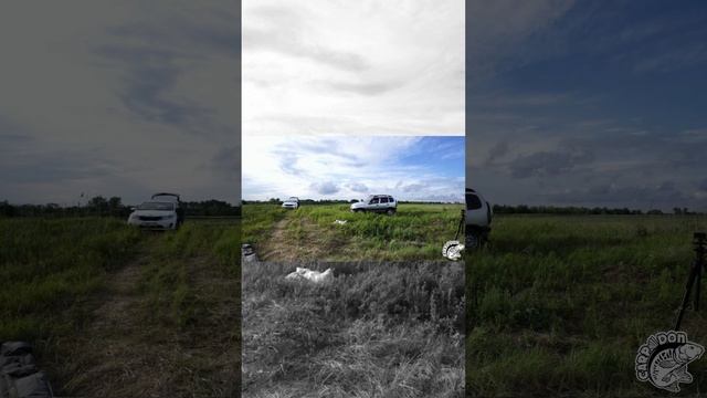Прибытие Александра