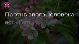 Заговор на избавление от всех врагов на 20 апреля