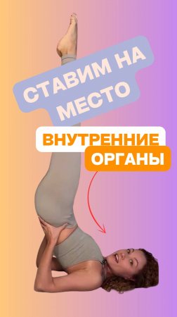 Ставим внутренние органы на место