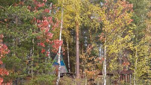 От листопада до листопада!  Автор и исполнитель Василий Горчаков