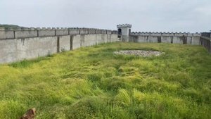 Парк Львов Прайд/Абхазия, село Аацы. Сентябрь, 2021. #ПаркЛьвов #Прайд #Абхазия