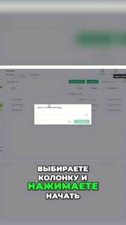 Чекер WhatsApp аккаунтов  #whatsapp  #рассылка