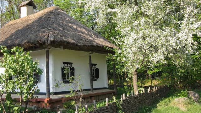 Дмитро Гнатюк - У сусіда біла хата смотреть онлайн